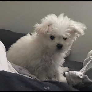 Meet your Posher, Aaron